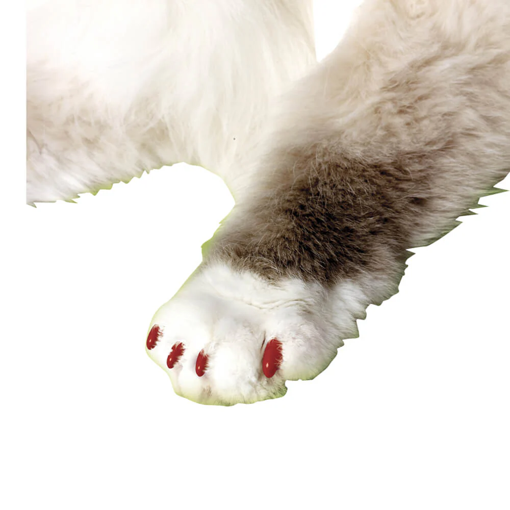 Product image 41